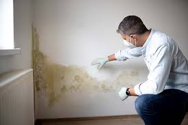 Trusted Herlong, CA Mold Removal & Remediation Experts